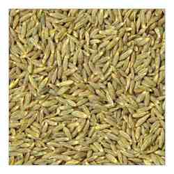 Manufacturers Exporters and Wholesale Suppliers of Cumin Seeds Mahuva Gujarat